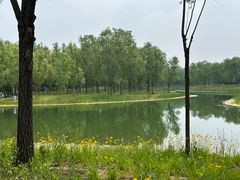 -东郊湿地公园