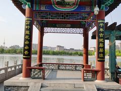 -莲花池公园