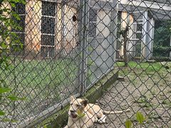 -合肥野生动物园