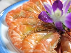 -墨脱石锅椰子鸡•香草鸭•东山羊(大东海店)