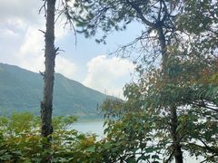 -羚羊峡古栈道森林公园