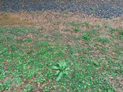 -南京市无想山景区