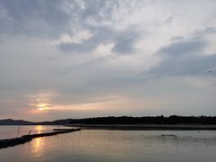 -上海市保健医疗中心