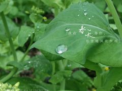 -滆湖低碳生态公园