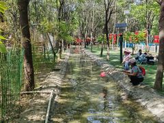 -草根堂农场