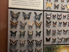 -天津自然博物馆