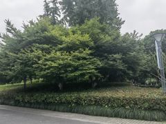 -杭州城北体育公园