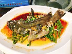 剁姜蒸豆角老虎斑-石岐乳鸽村(南海第三分店)