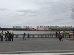 -上海长兴岛郊野公园