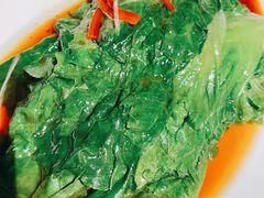 白灼罗马生菜-颐和•海鲜砂锅粥•啫啫煲(奥林匹克广场店)