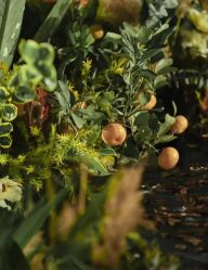 -沈阳富力万达文华酒店·宴会厅