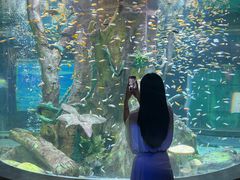-合肥海洋世界