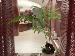 -二酉书店TOYOU BOOKS