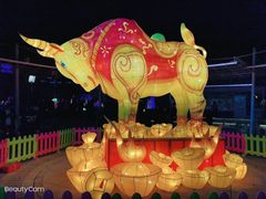 -南宫五洲植物乐园