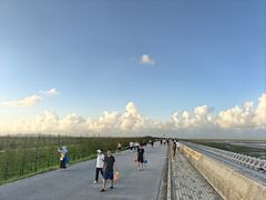 -南汇嘴观海公园