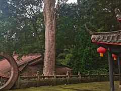 -都江堰普照寺