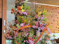 -浅深Cheersum(曹杨店)