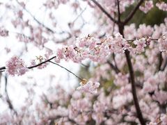 -静安雕塑公园