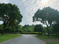 -尚贤河湿地