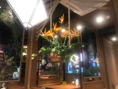 -云海肴云南菜·蒸汽石锅鱼(北京良乡华冠店)