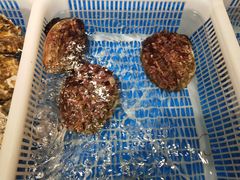 -望海湾·清真餐厅