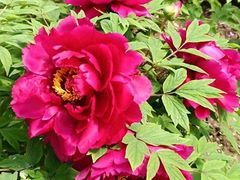 -合肥三国新城遗址公园