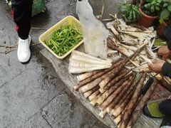 -海窝子古镇