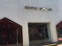 -Gentle Monster(Galleria百货狎鸥亭店)
