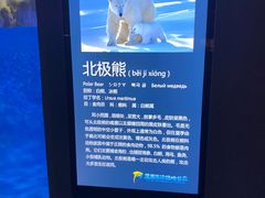 -蓬莱欧乐堡海洋极地世界