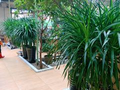 -天发长铁锅炖(王秀村店)