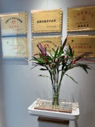 -英芬国际月子中心(岛屿度假月子·洲至奢选香岚店)