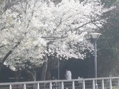 -蠡湖大桥公园