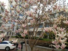 -山东大学(威海校区)