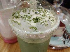 -飞行喵MR PILOT|猫舍·猫咖(静安大融城店)