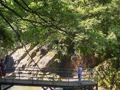 -龙苍沟森林公园