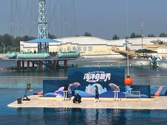 -秦皇岛乐岛海洋王国