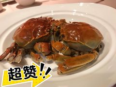 -王宝和酒家(黄浦店)