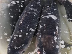 -江杨农产品批发市场