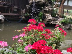 -漫渡庄绿岛花园•隐世庭园菜(滨湖店)