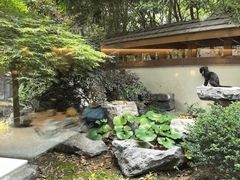-久宴·天目湖大鱼头(恐龙园店)