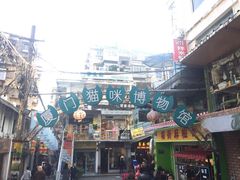 -猫咪博物馆(顶澳仔猫街店)