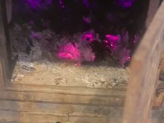 -万里闯关东铁锅炖菜馆(高新旗舰店)