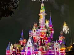 -上海迪士尼度假区