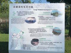 -同里国家湿地公园