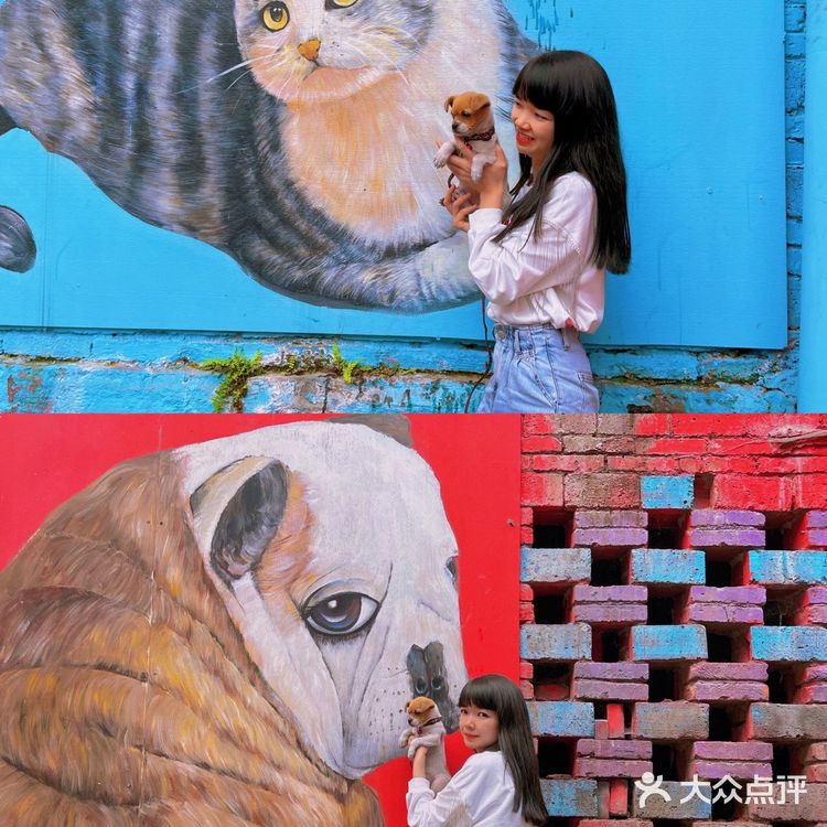 重庆版“格林童话”小镇✨人少绝美！重点还免费