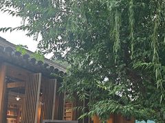 -春风习习