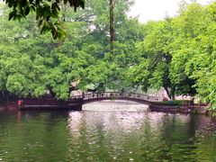 -荔湾湖公园