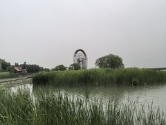 -苏州太湖湖滨国家湿地公园