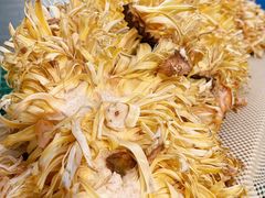 -水果天空(东葛店)