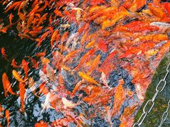 -千岛湖东南湖区